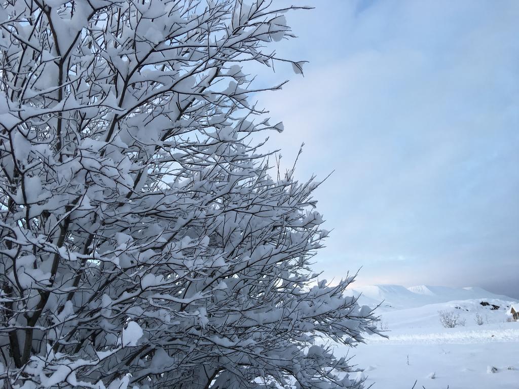 Aurora Vacation Homes Fagravik Akureyri Kültér fotó